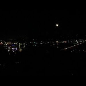 Meet your Posher, Daisy